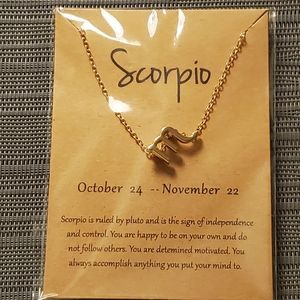 ♏ SCORPIO Zodiac Sign Pendant Necklace